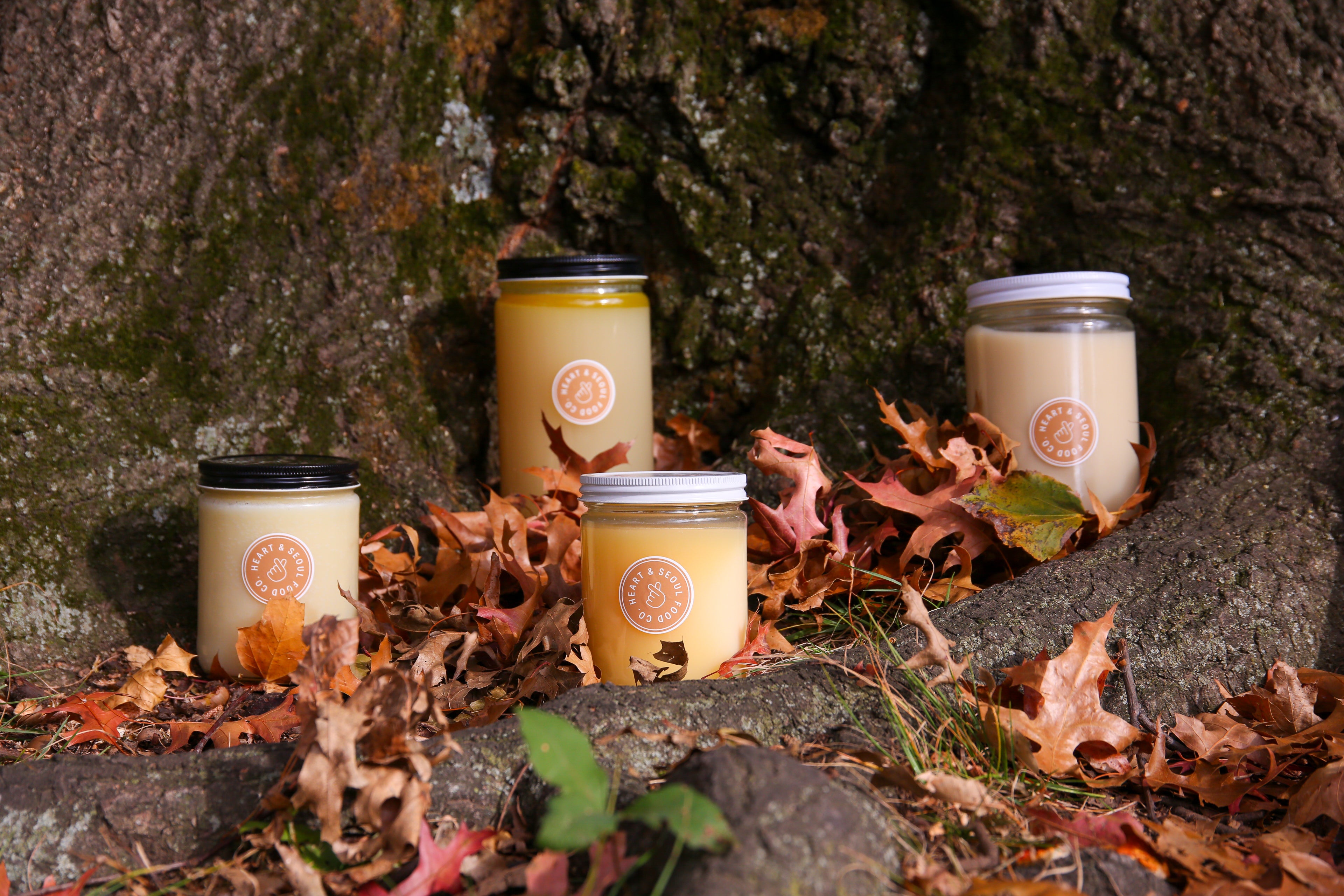 Image of our flagship collection: Beef Bone Broth, Pork Bone Broth, Beef Tallow and Pork Lard